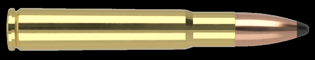 nosler 35 whelen 250 grain partition
