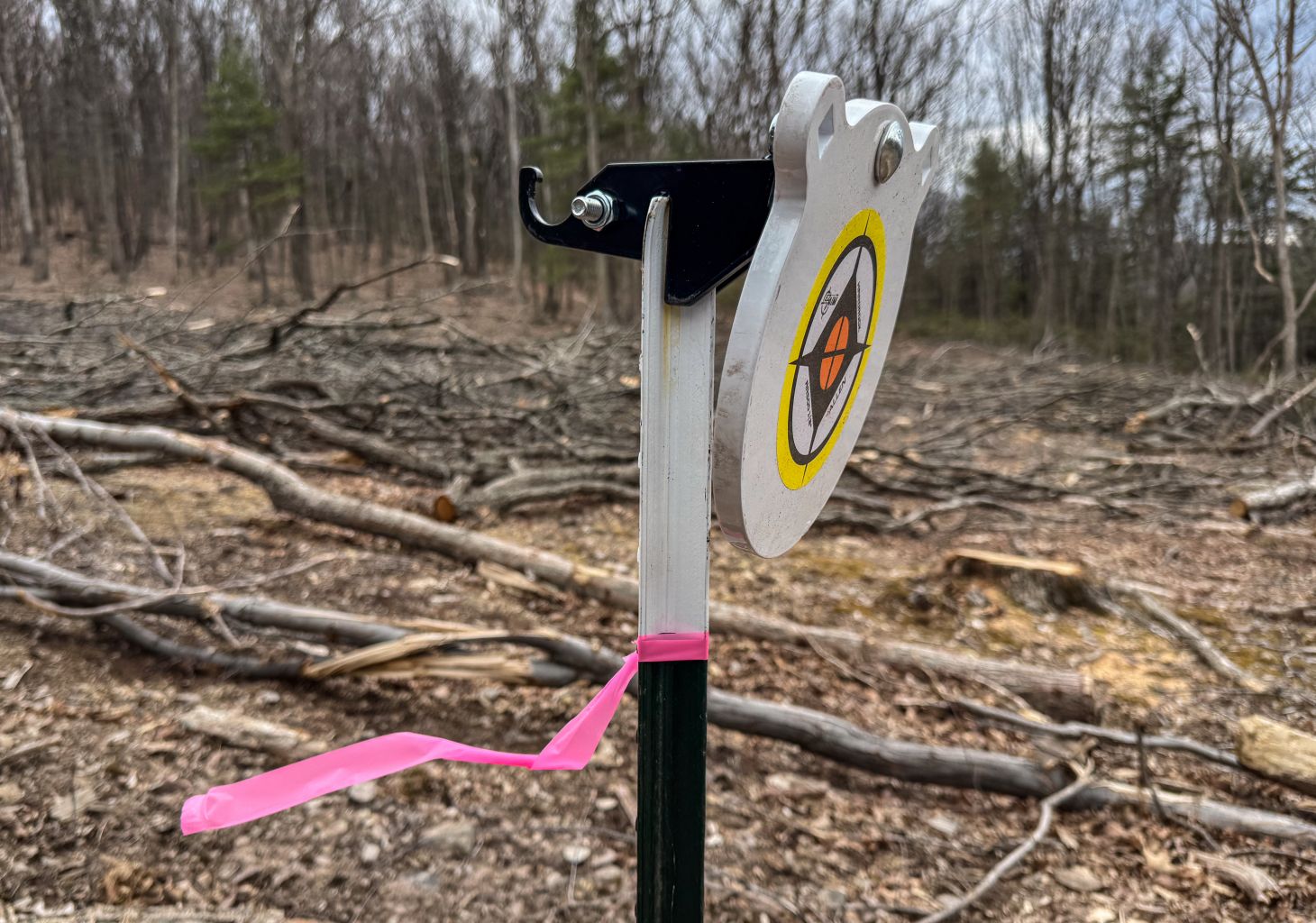 A steel target all set up in a cutover and ready for shooting. 