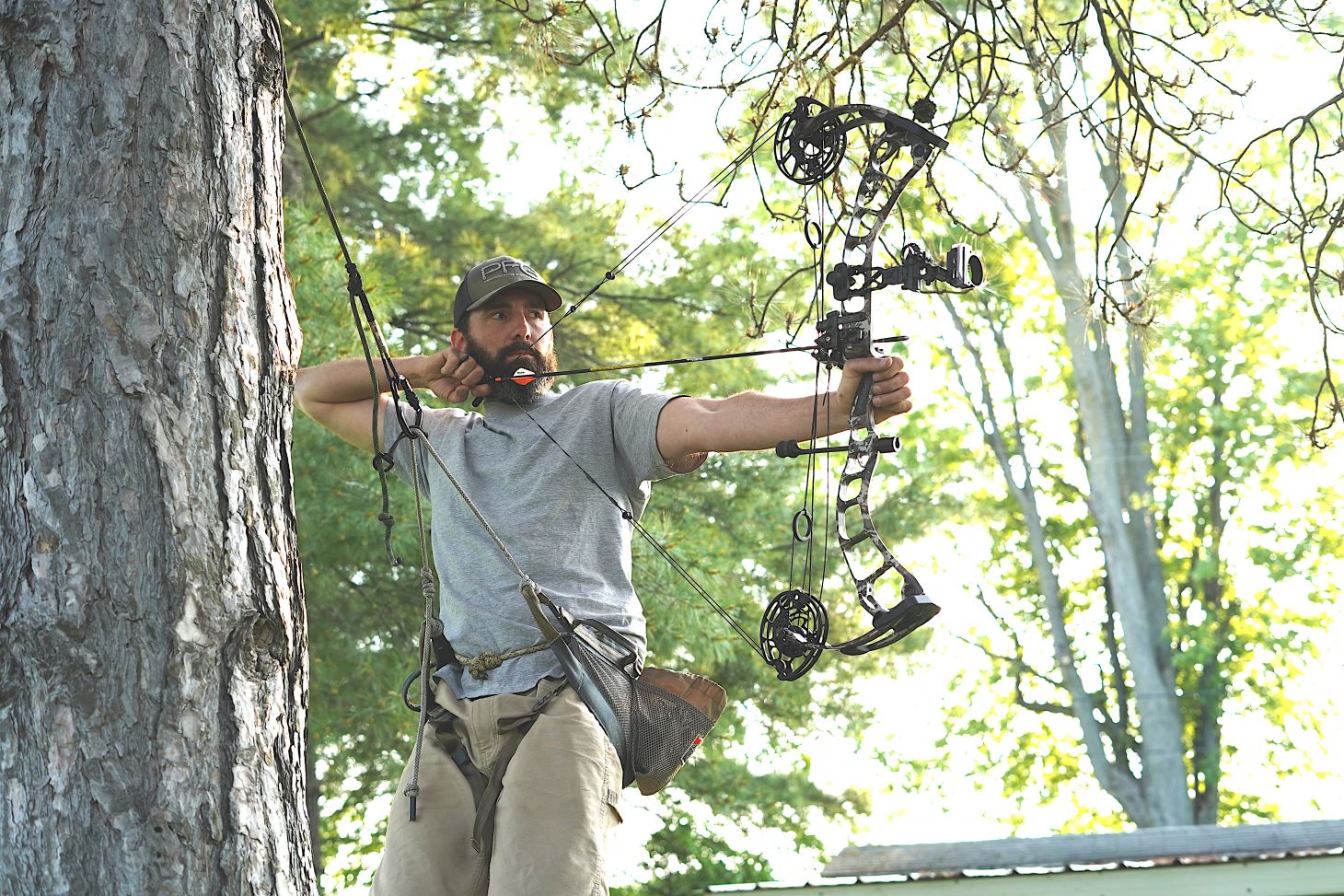 A hunter practices shooting a bow from a tree saddle.