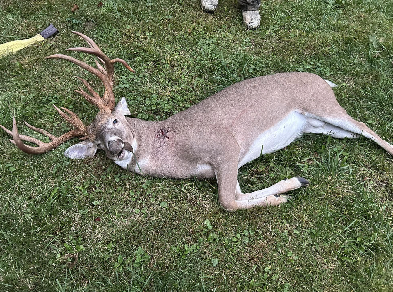 A photo of a trophy whitetail taken in Indiana. 