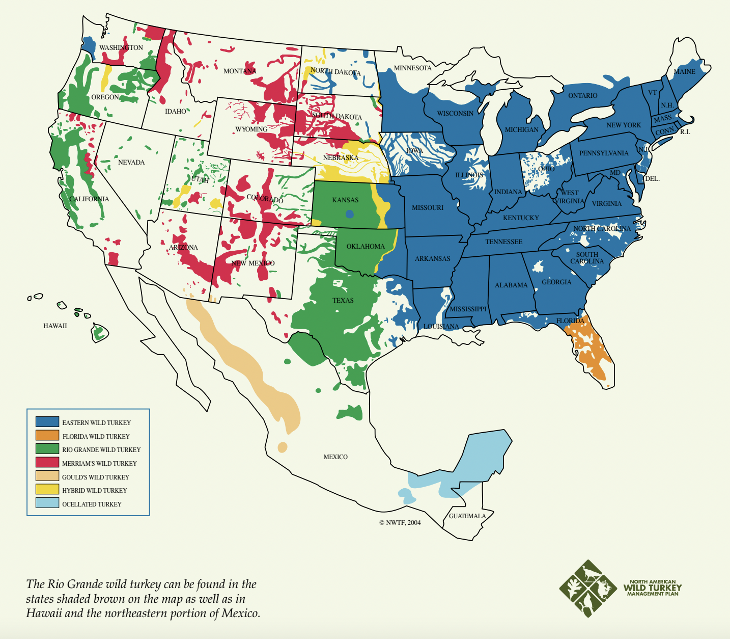 A map of wild turkey subspecies distributions across the United States. 