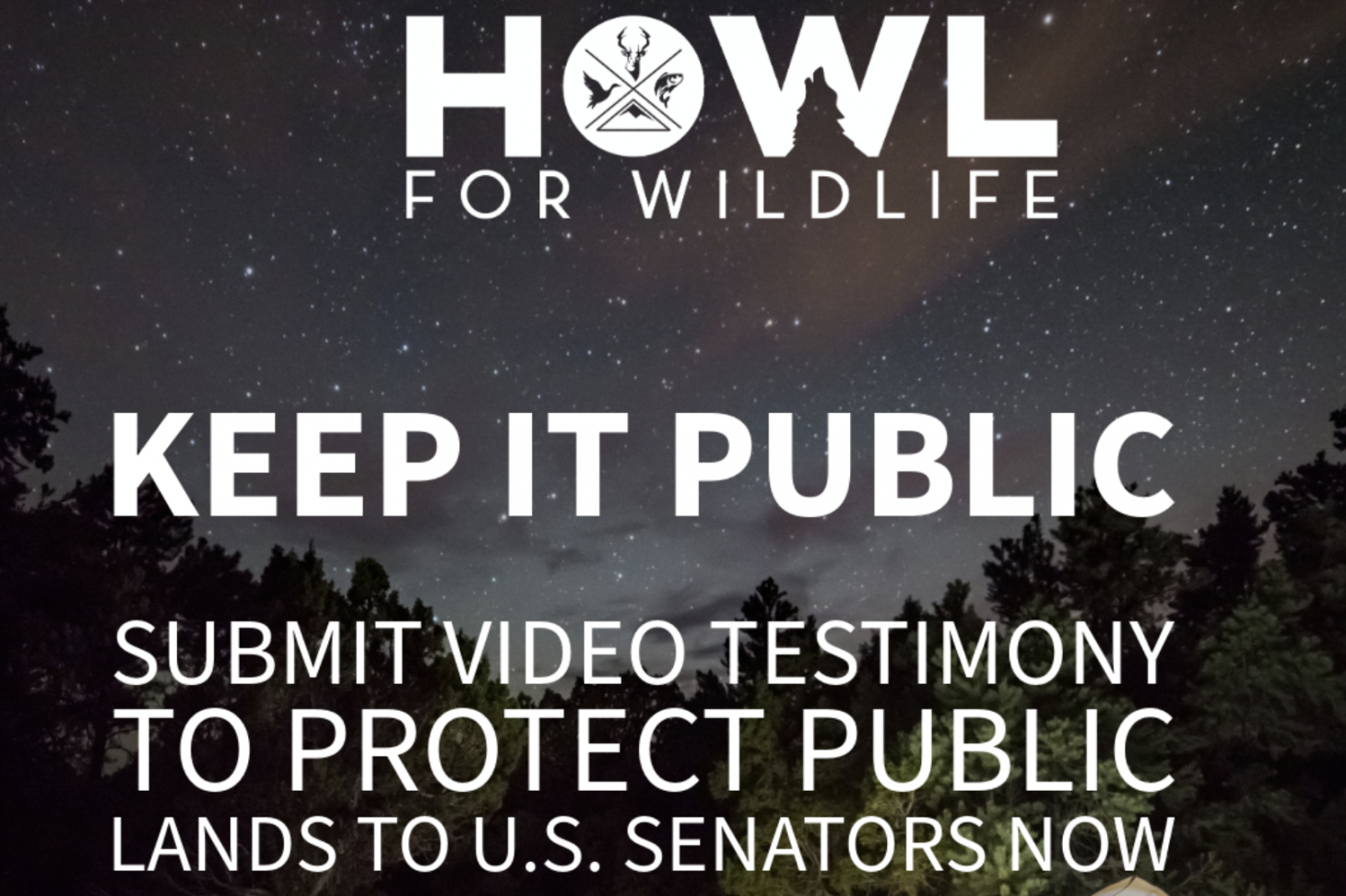 Screenshot via HOWL For Wildlife. 