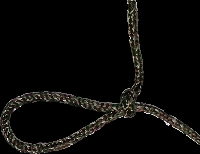 quick release knot step 1