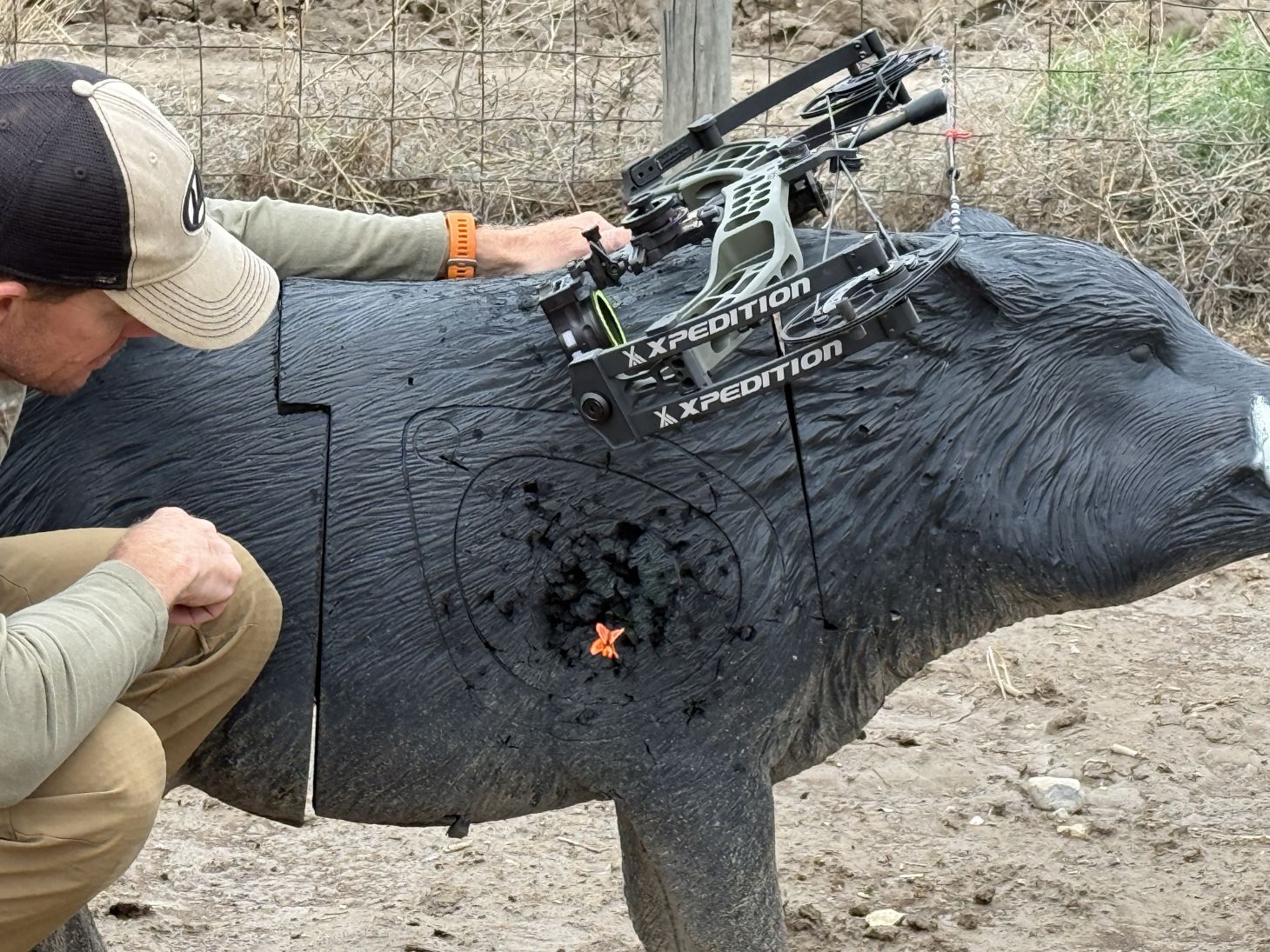 An archer admires a perfect shot on a 3D hog target taken with the new Xpedition XLite 32 bow. 