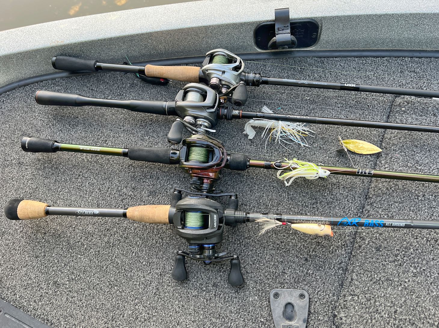 Small school of bass fry