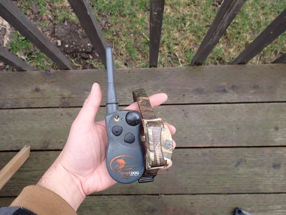 SportDog WetlandHunter 425X training collar during testing