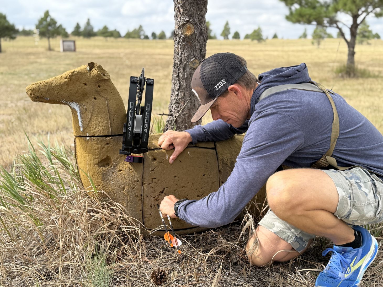 An archer pulls arrows from a 3D deer target.