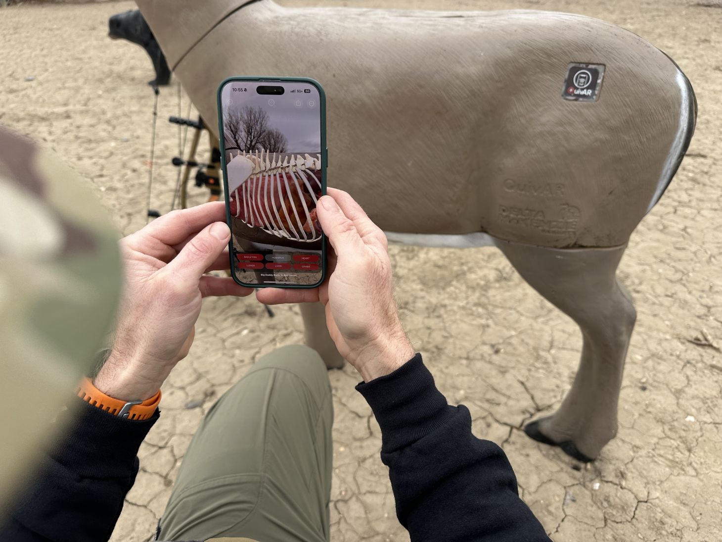 iphone pointed at deer target with QuivAR app open