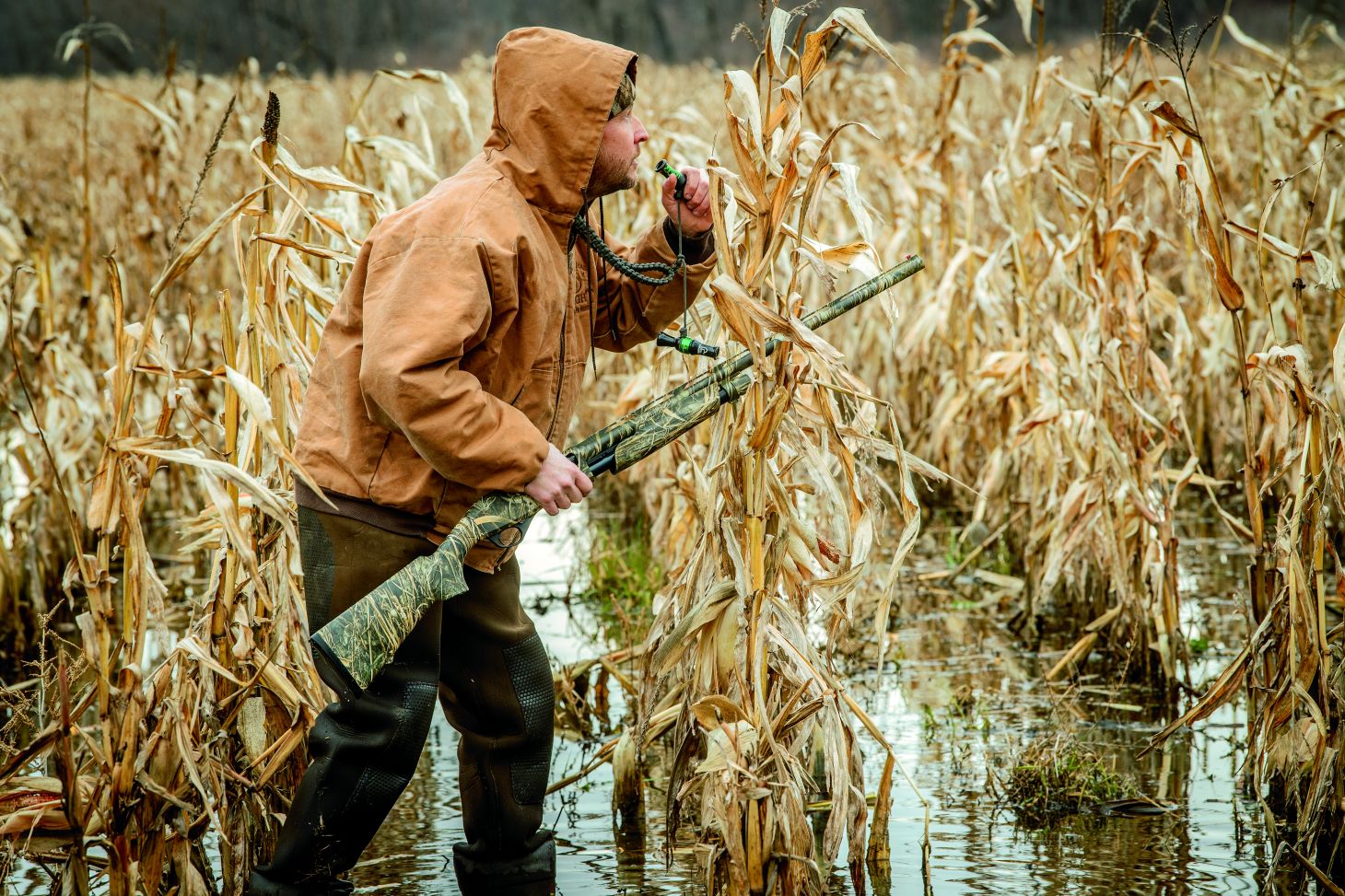 Hunter walking through flooded corn