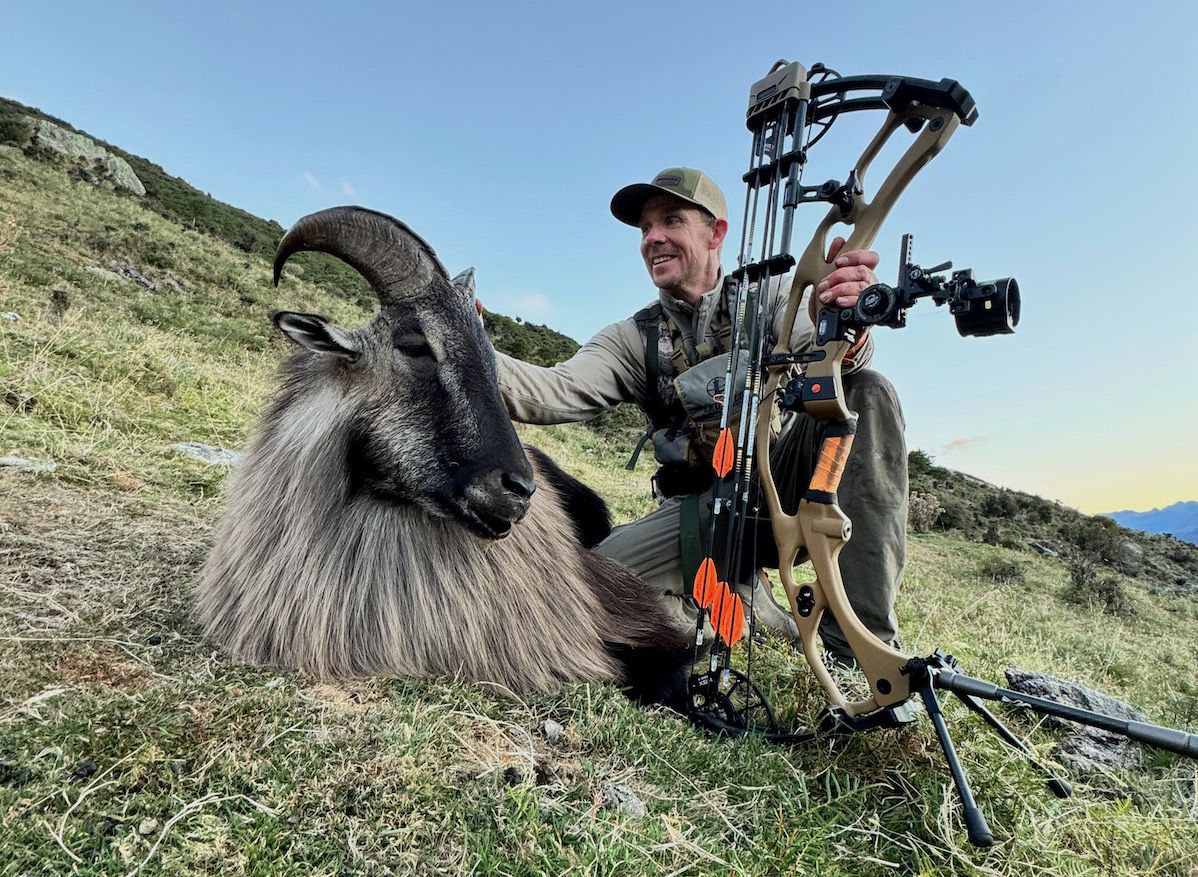 A bowhunter with a Himalayan Tahr in New Zealand. 