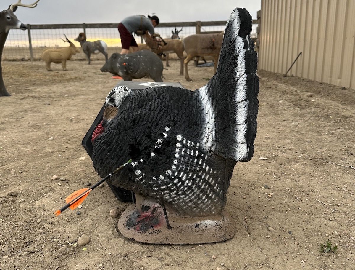 Turkey Mechanical Broadhead Accuracy