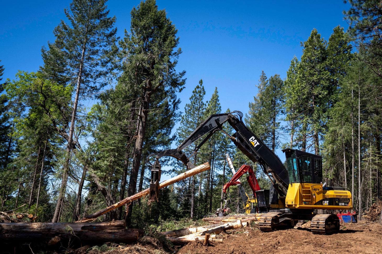 The Alaska Peak Timber Sale on the Tahoe National Forest. 