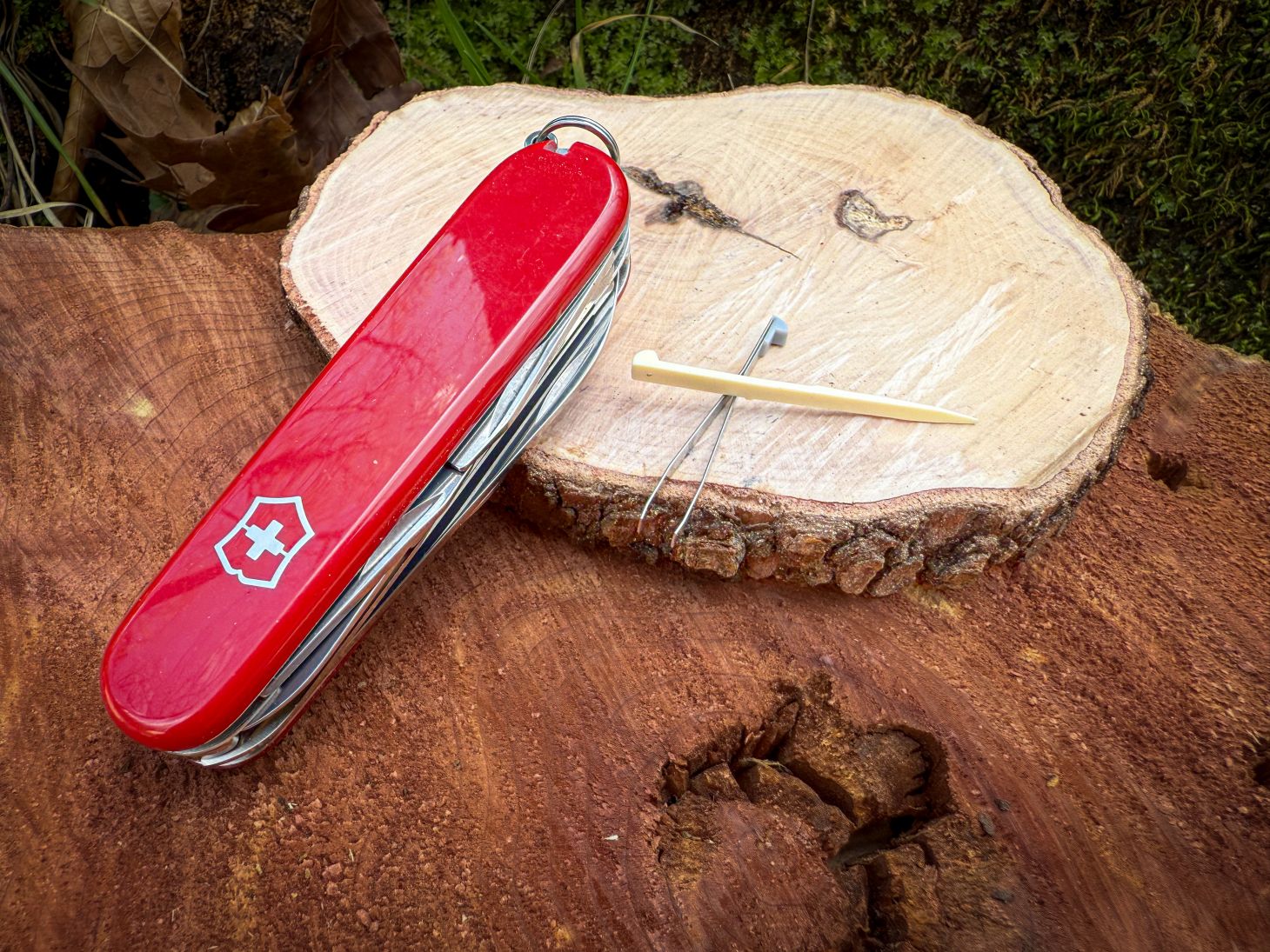 Victorinox Field and Stream Ready-31