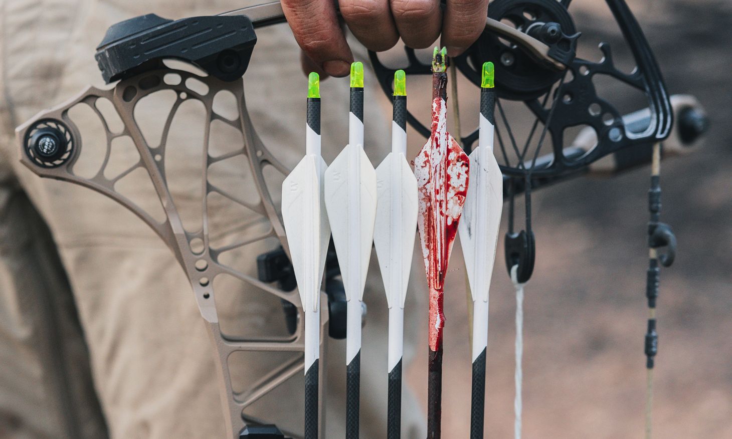 A quiver of five arrows, one smeared with blood.