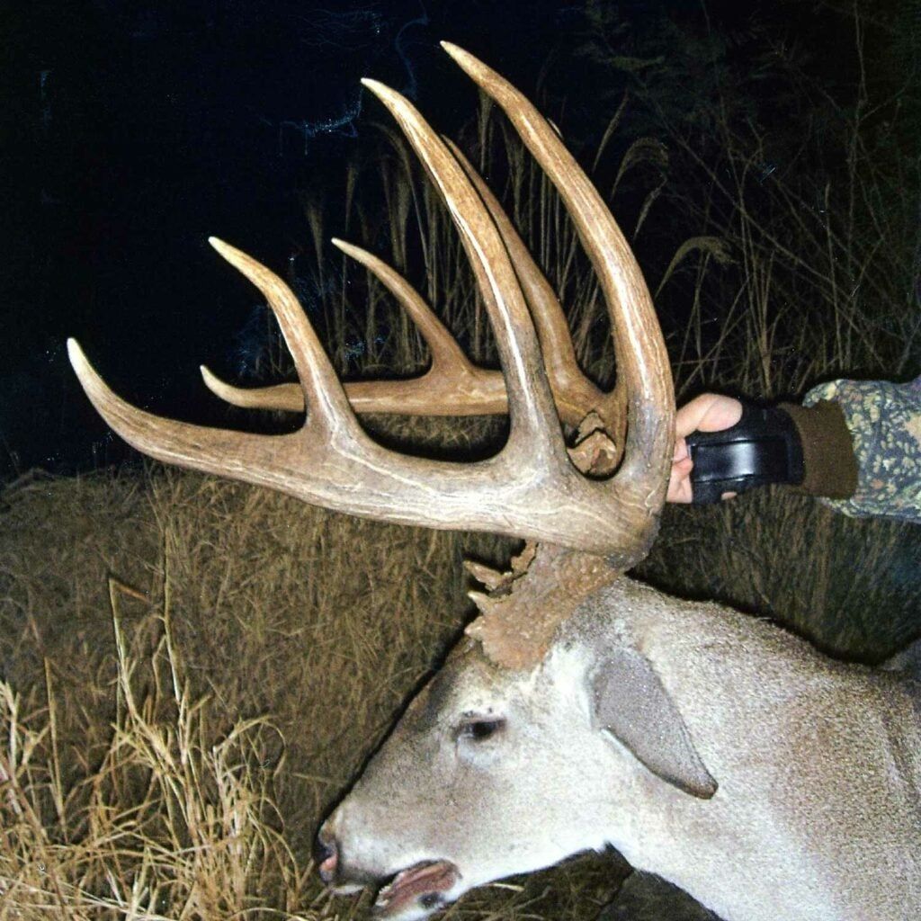 Thomas Friedleinâs 187-plus P&Y state record buck