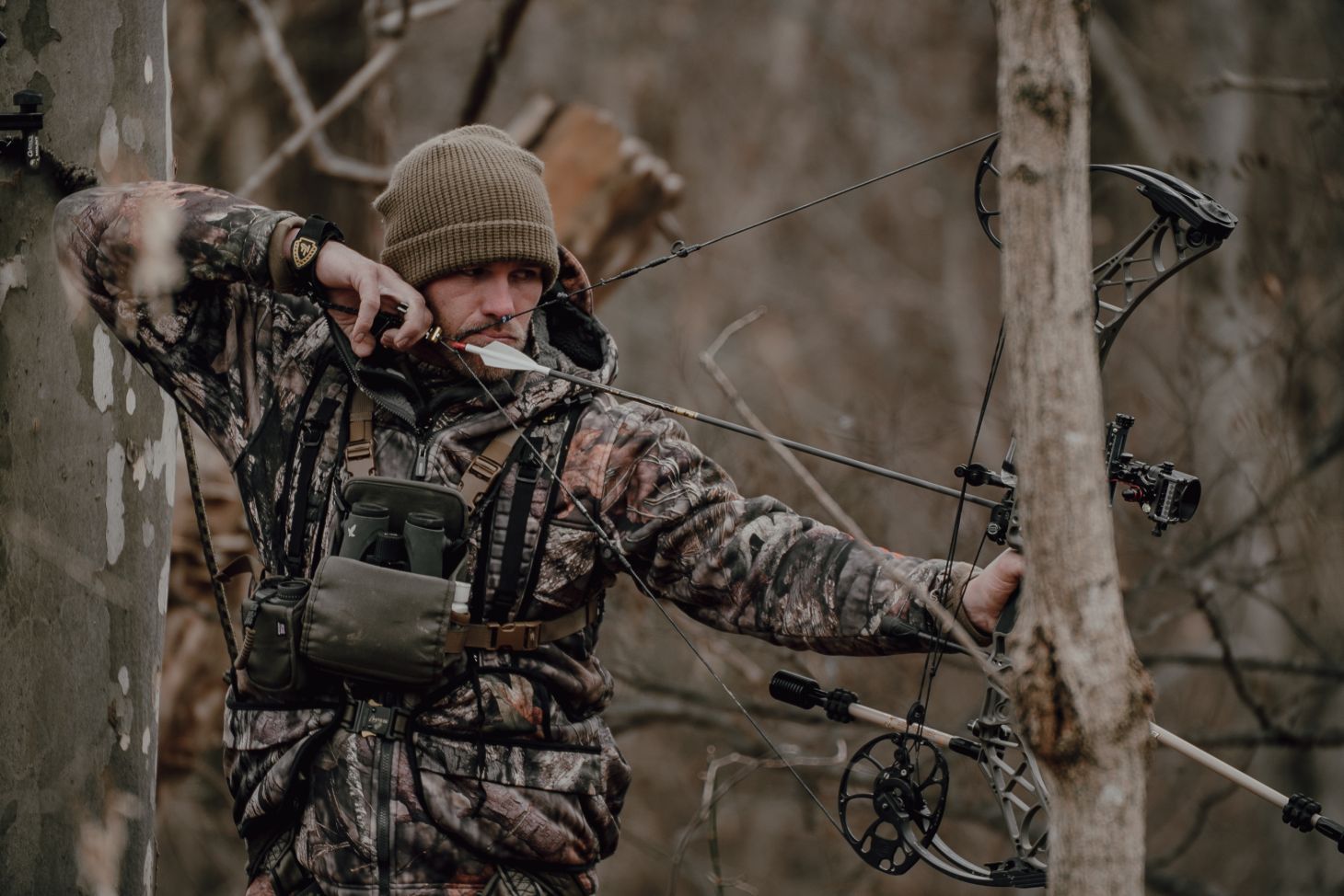 A bowhunter at full draw. 