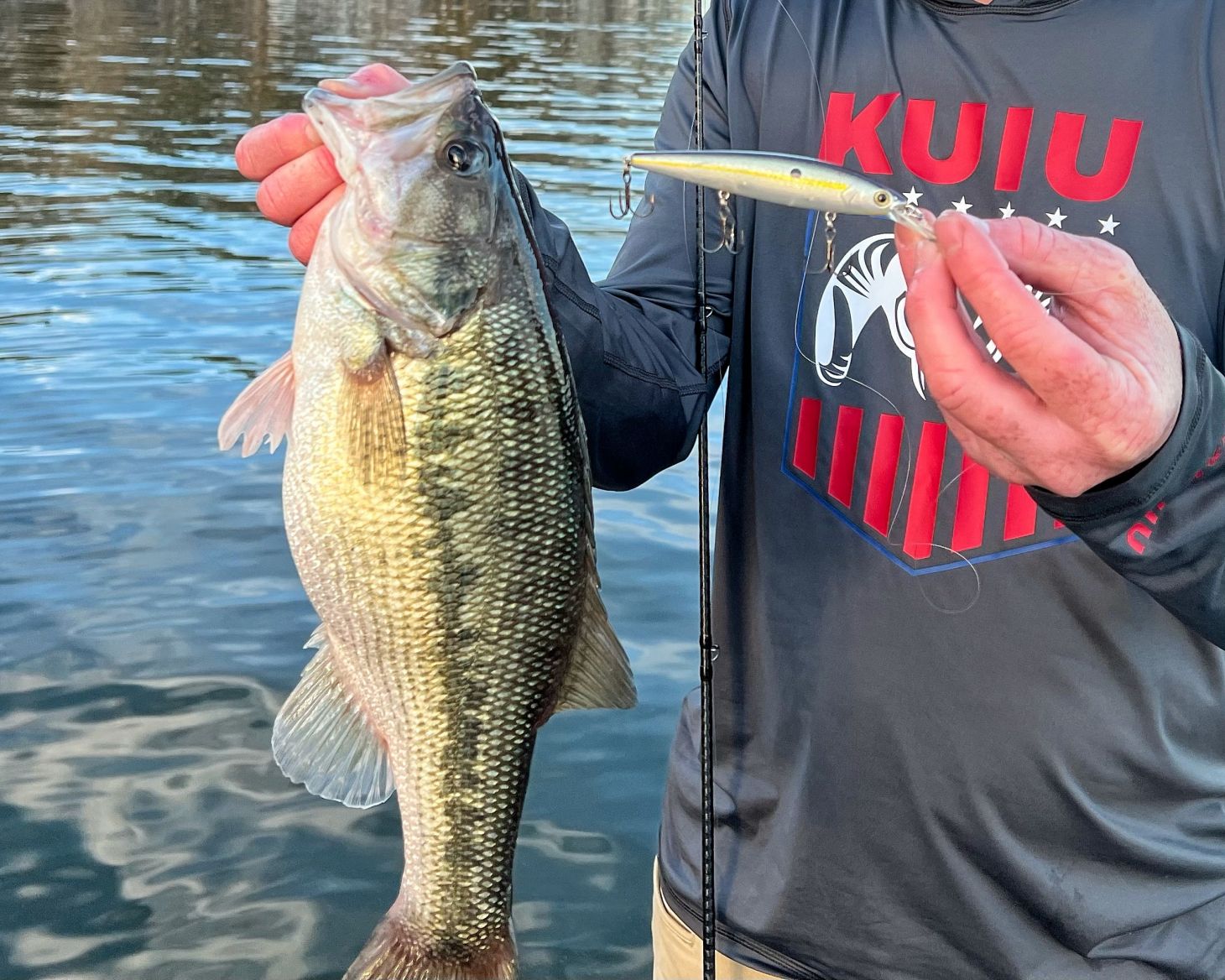 photo of an Alabama spot