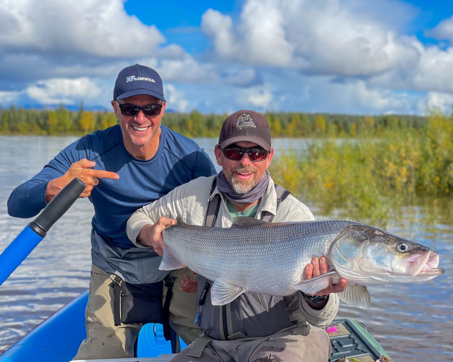 An angler poses with a sheefish in Alaska.