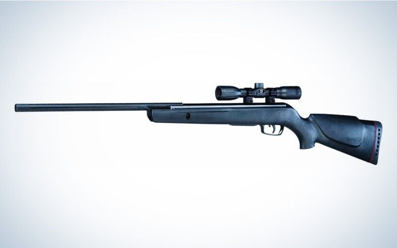 Best Air Rifles