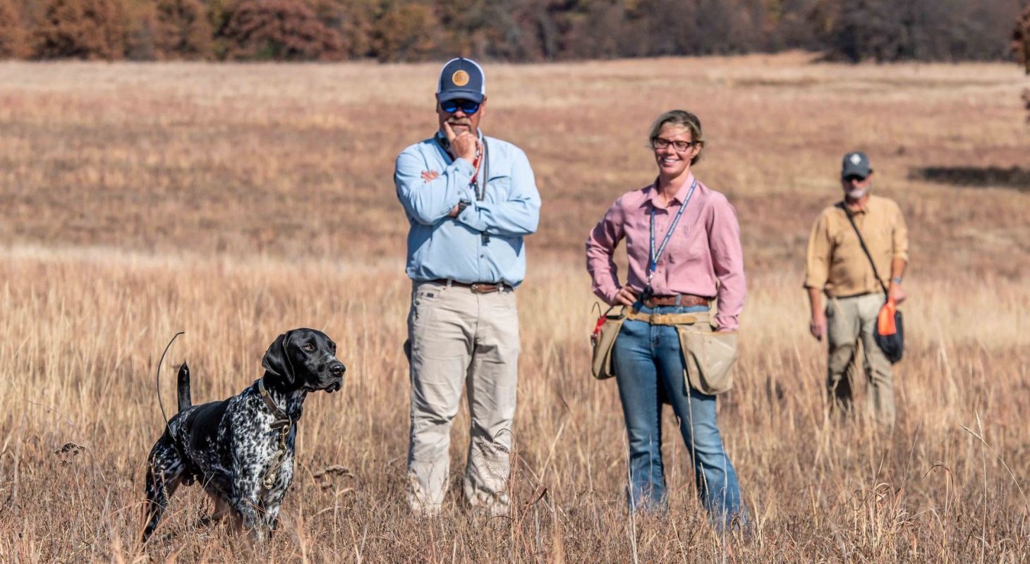 Three dog trainers watch a German shorthair pointer on point in a tan field.