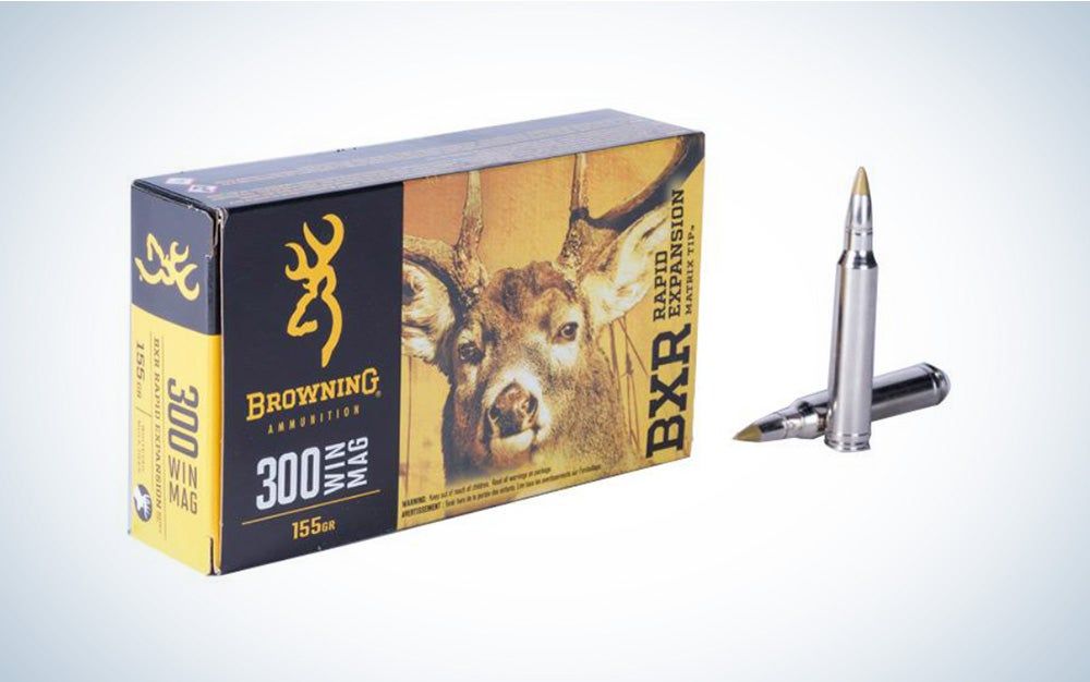 Black Bear Hunting photo