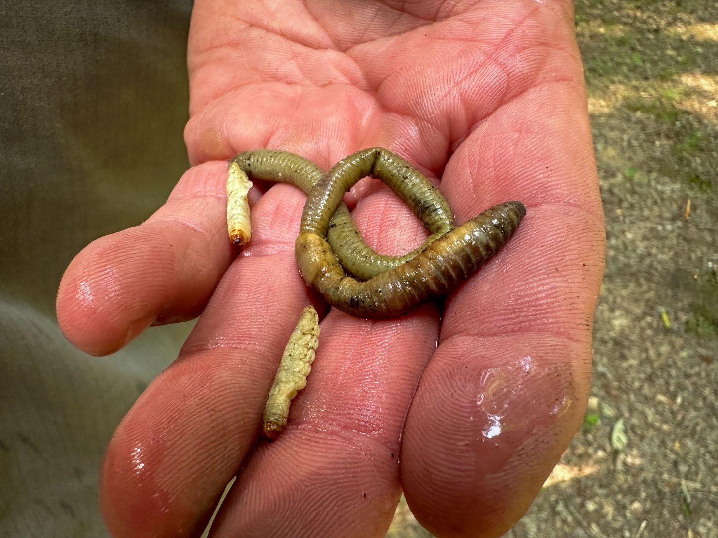 color change after cooking