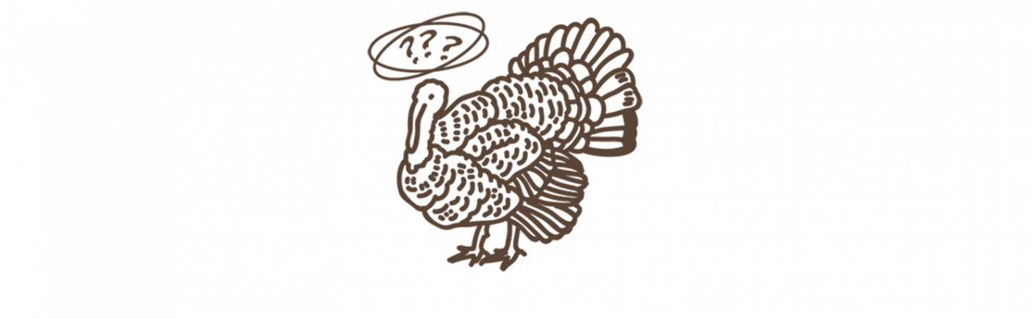 Turkey Hunting photo