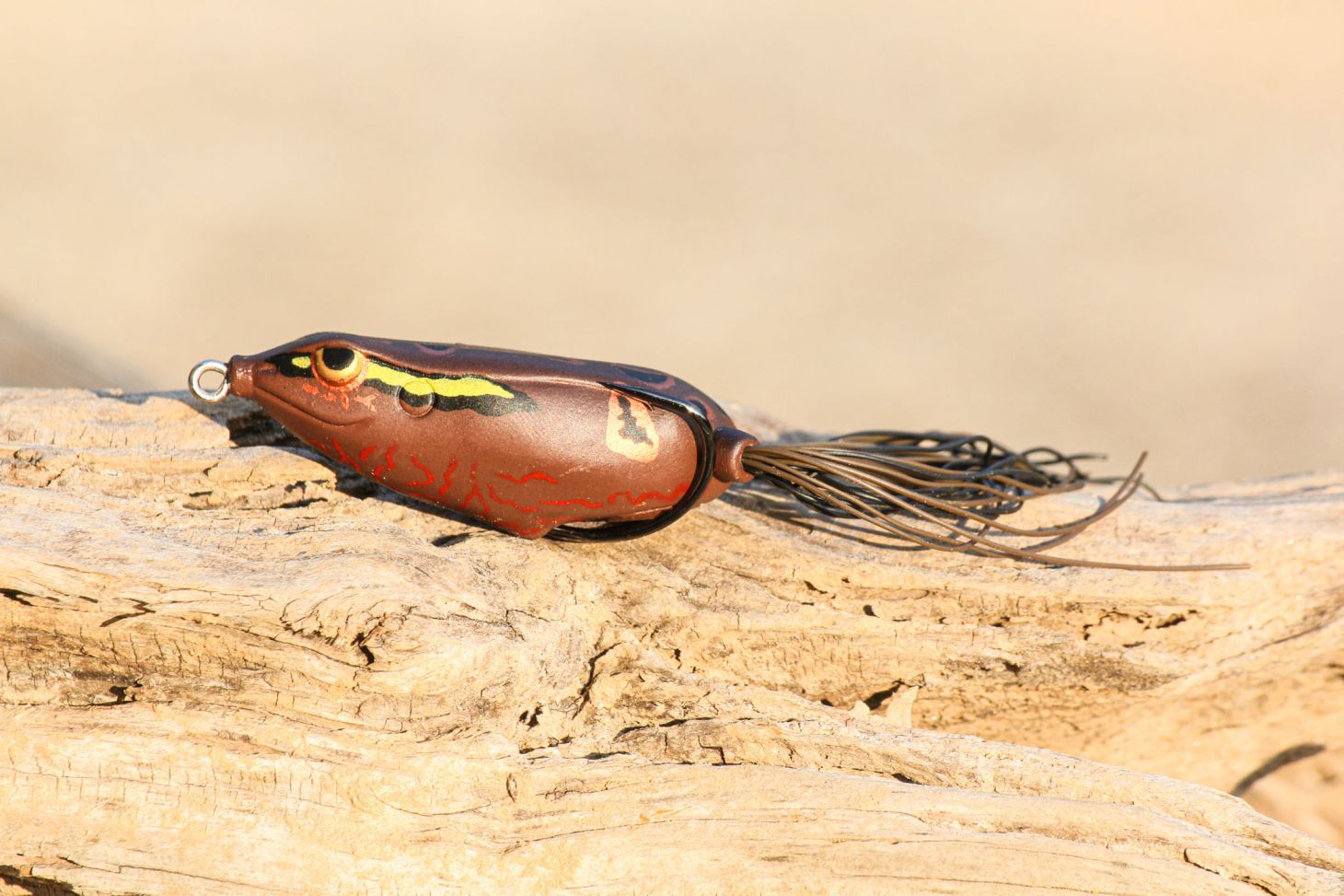 A hollow-body frog bait on a piece of driftwood. 