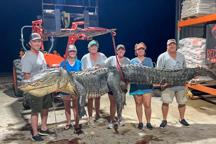 A crew of gator hunters pose with a near state-record alligator.