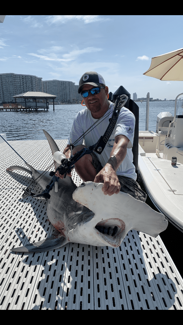A bowfisherman poses with a world record hammerhead shark. 