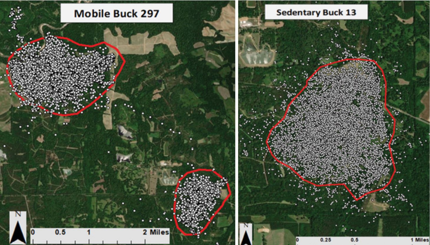 Two satellite images showing the home ranges of mobile and sedentary bucks. 