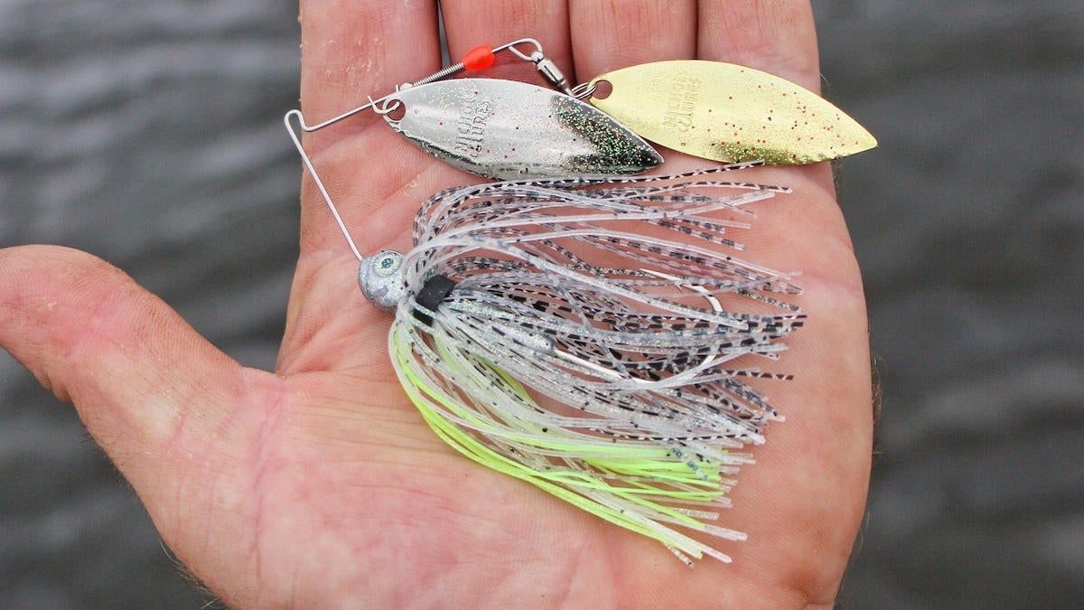 Nichols Mini 33 spinnerbait in hand during testing