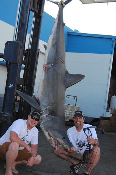 A bow fisherman poses with a record-breaking mako shark. 