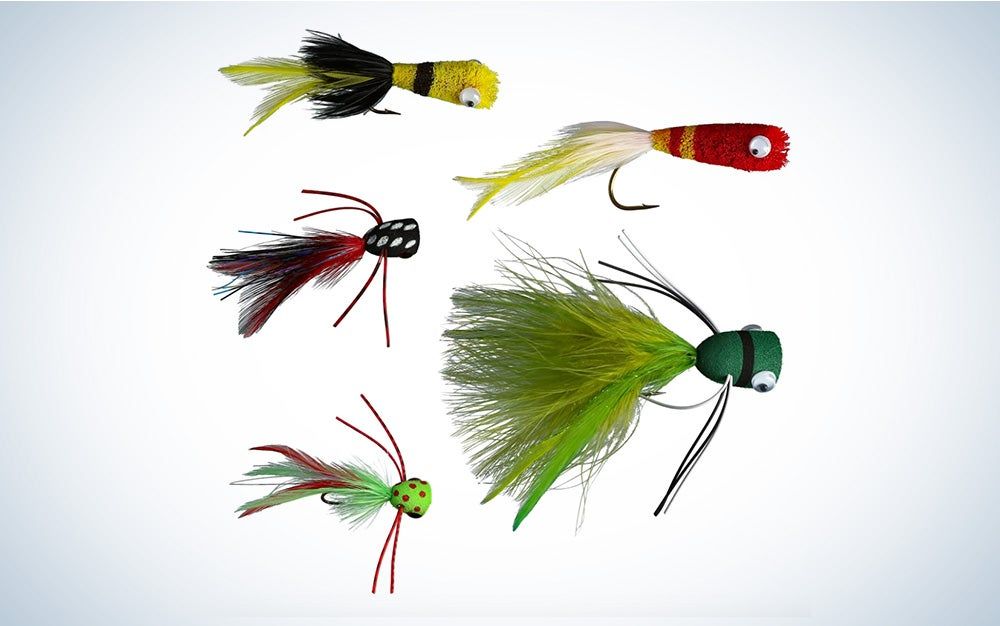 Pike & Muskie Fishing photo