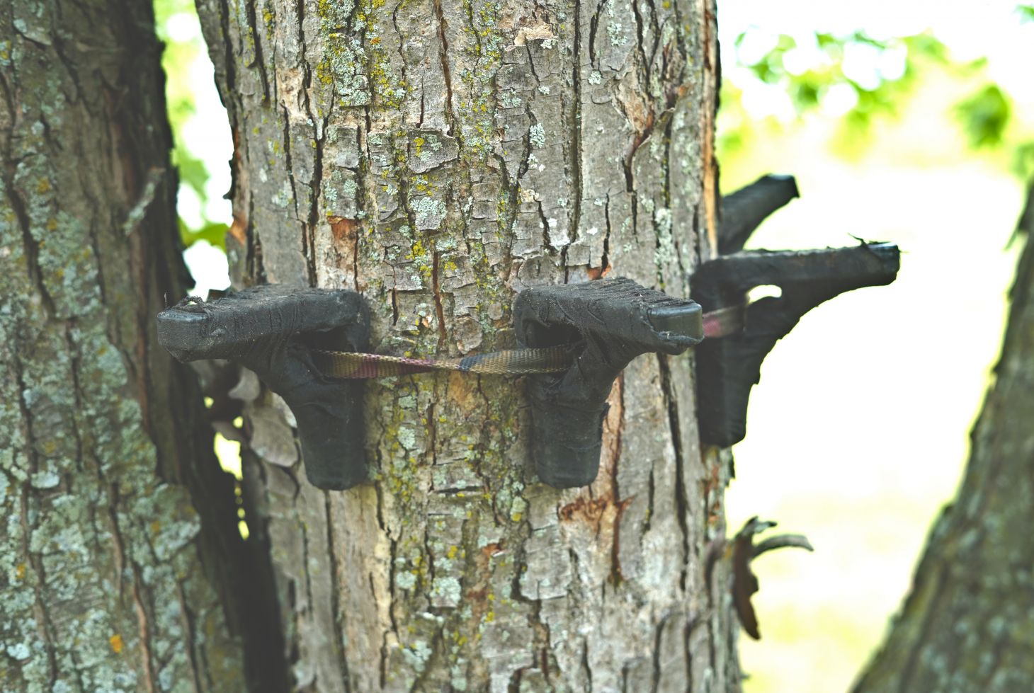 A ring of strap-on tree step for saddle hunting. 