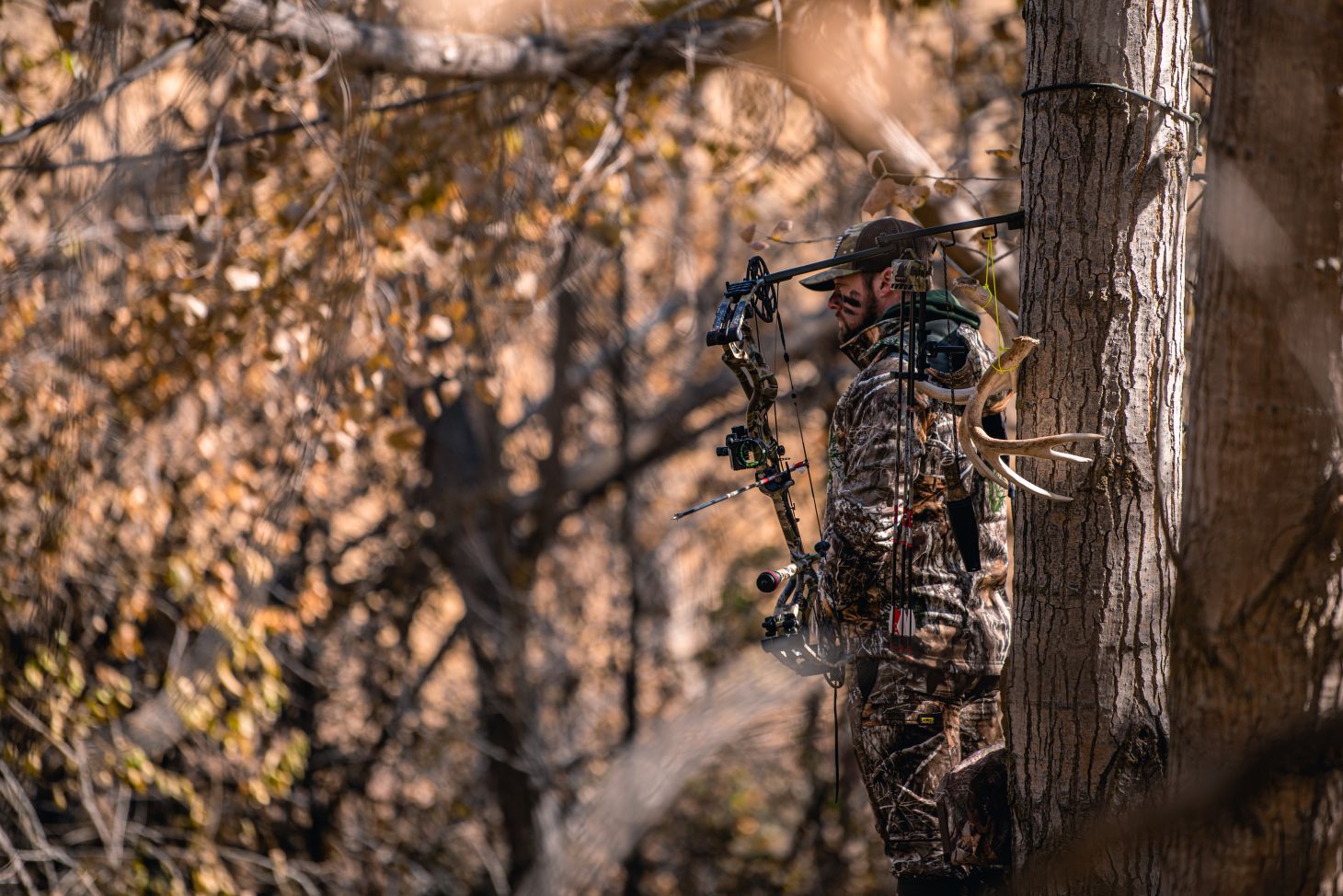A bowhunter in a tree stand in the woods. 