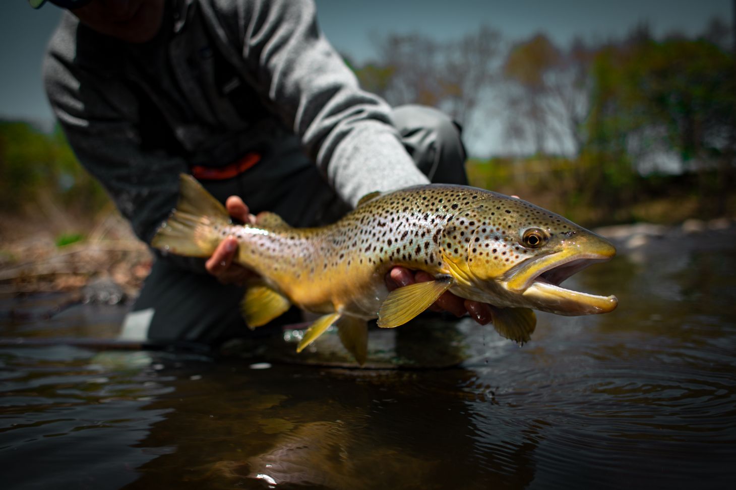 Angler holding up trout