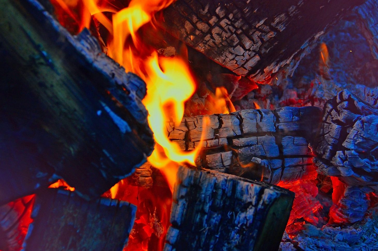 Hot coals in a fire.