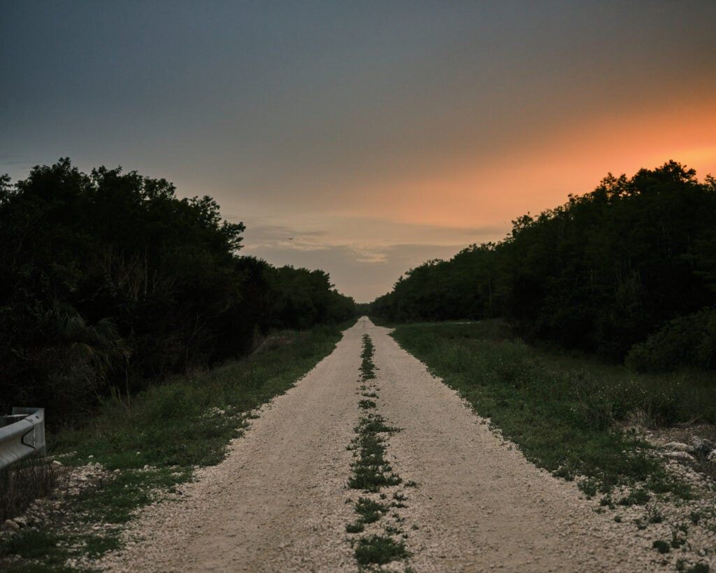 One of the many long, straight roads that python hunters follow to find their quarry.