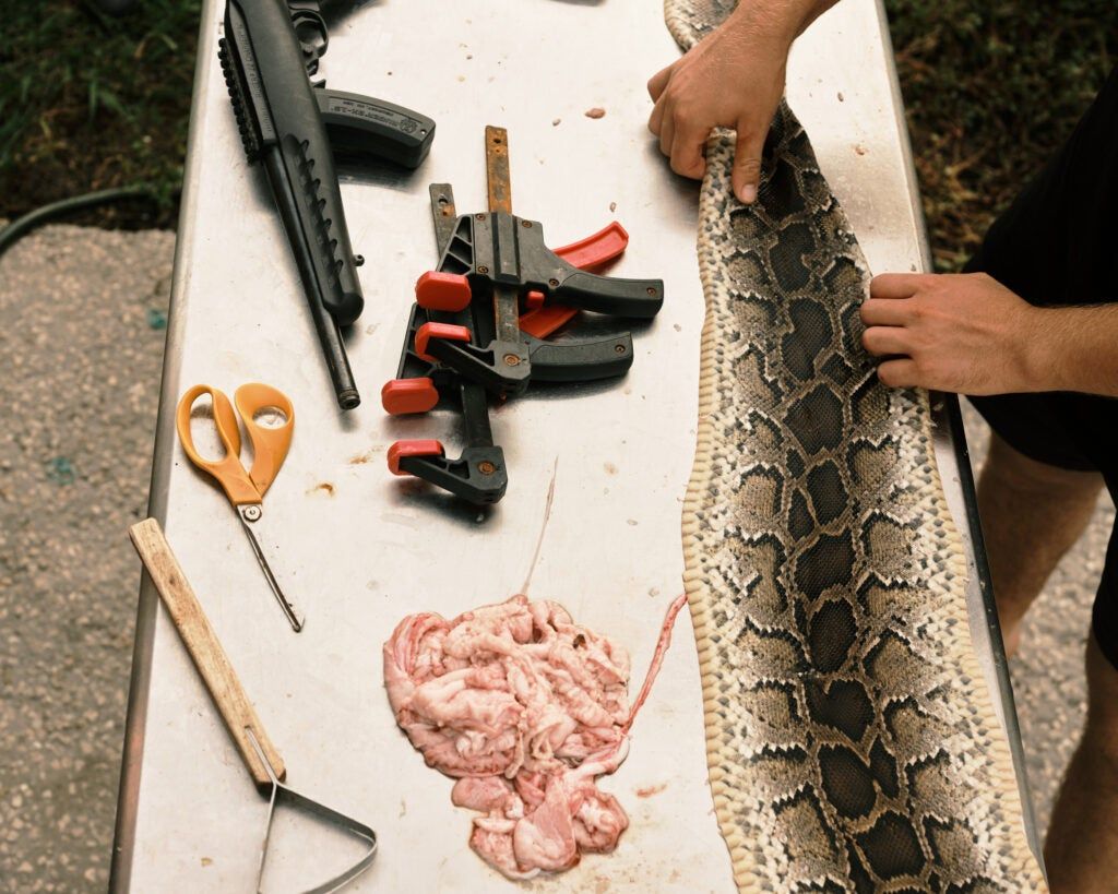 Tools of the python-hunting trade.